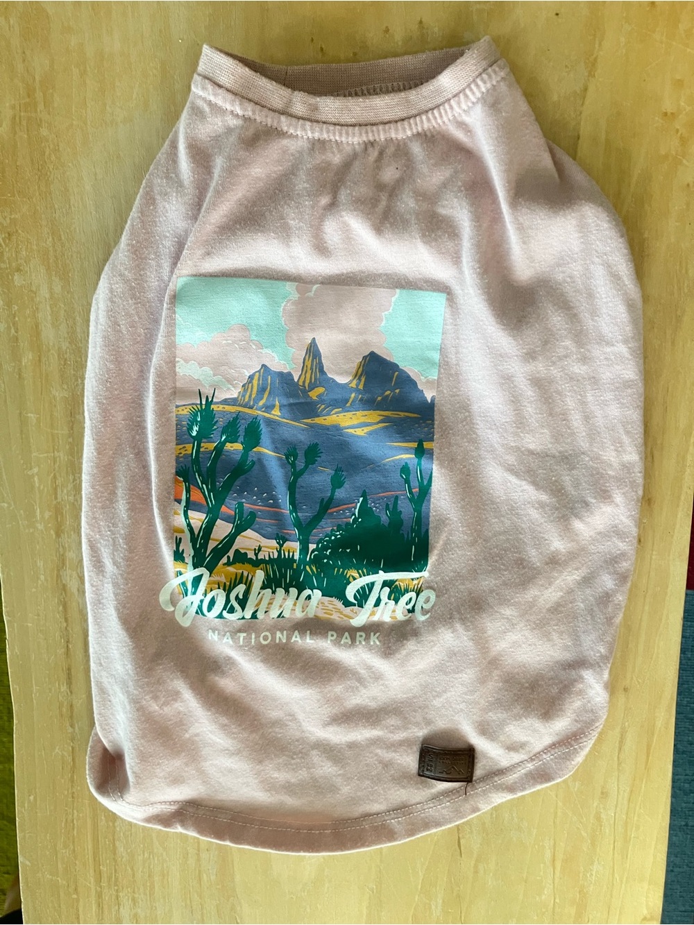 Joshua Tree Graphic Tee - Light Pink